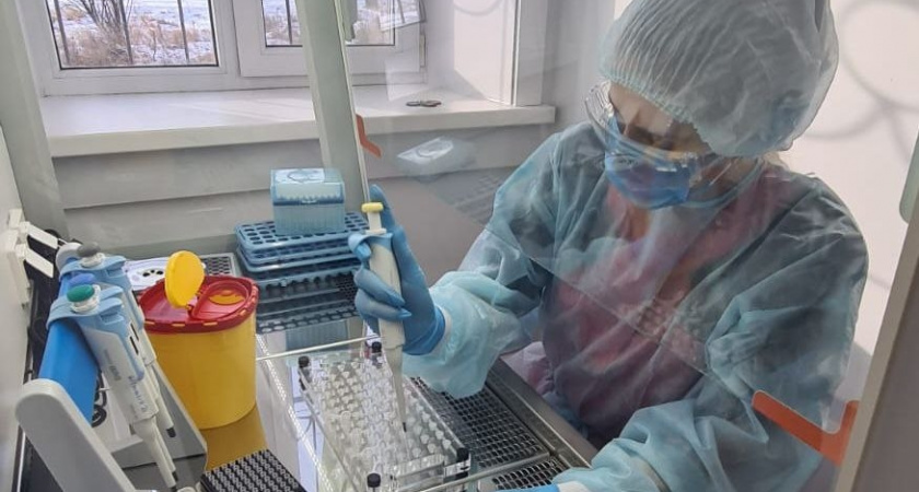 Ветеринарная лаборатория в Усолье-Сибирском начала выявлять ящур у животных