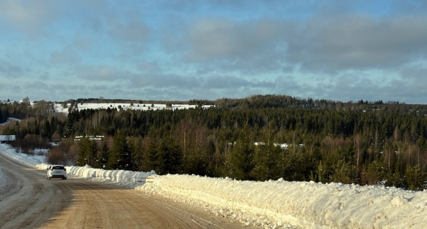 В Иркутской области усилят патрулирование лесов для защиты хвойных деревьев