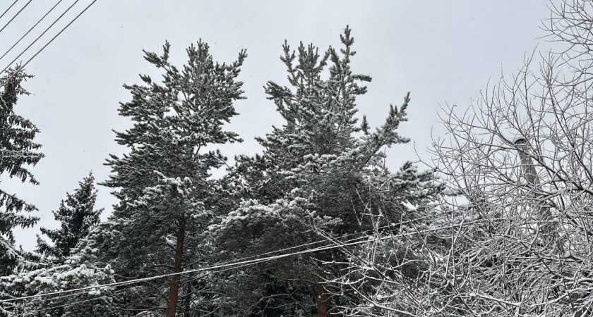 Иркутскую область 28 ноября засыпет снегом