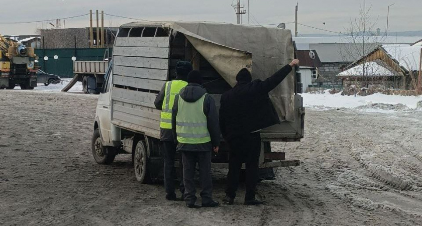 В Иркутской области открыли ветеринарный пост на трассе “Байкал”