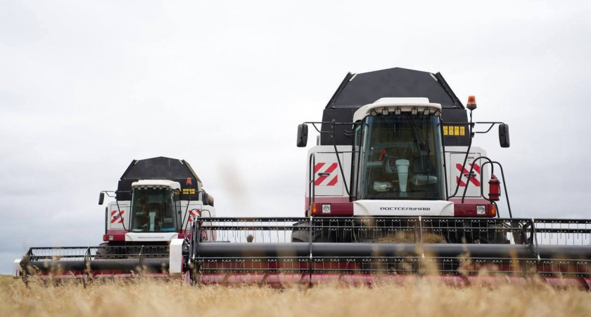 Аграрии Иркутской области установили рекорд по сбору гороха и сои