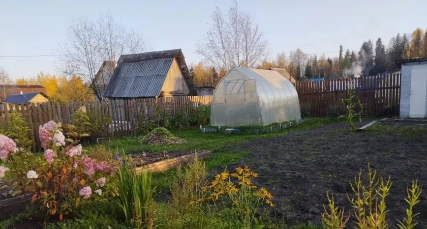 Избавилась от моха в теплице раз и навсегда - дело было в трех ошибках. Их допускают 90% дачников