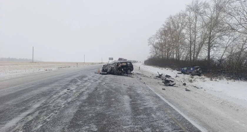 Женщина в Иркутской области выехала “на встречку” и спровоцировала аварию: пострадал 10-летний ребенок