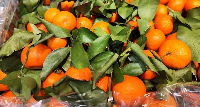 Купила 10 кг мандаринов к Новому году, а они кислые: показываю как их довести до сладости