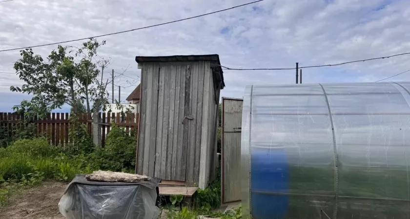 600 л в сутки — и никакой техники: как перестать платить за откачку навсегда - эти деревья осушат выгребную яму быстрее, чем ассенизатор