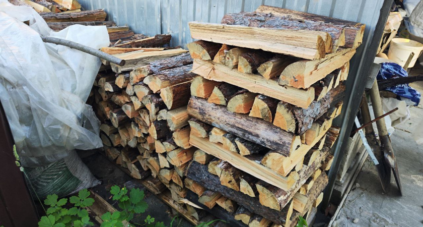 Как разжечь сырые дрова за 2 минуты при любой погоде: простой способ без специальных средств