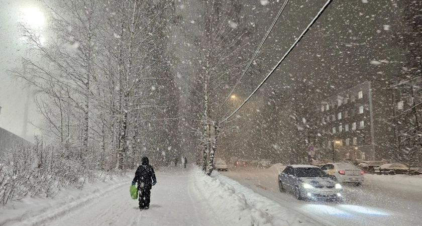 Надвигается самая холодная зима за 250 лет: синоптики предупреждают об аномальных морозах до -40 и снежных бурях