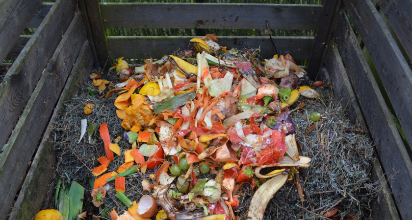 Одна банка в компост - и гниют даже ветки и сухая ботва: проверенный метод моей бабушки