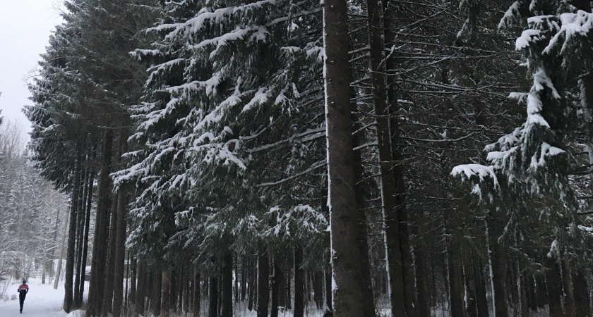 В Иркутской области 12 декабря будет ветрено и морозно