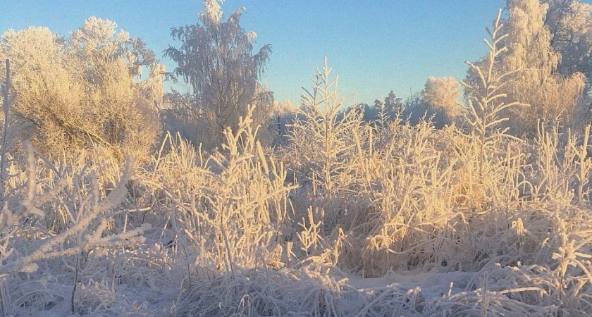 Снег и сильные морозы: синоптики рассказали о погоде в Иркутской области 13 декабря