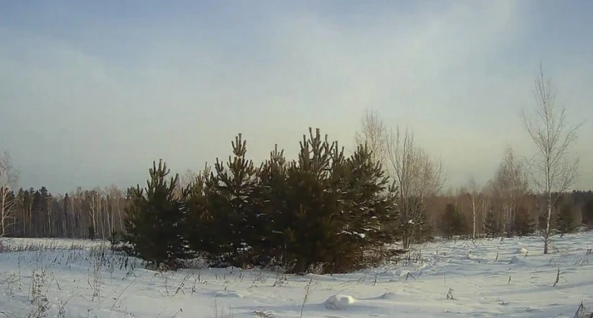 В Иркутской области оштрафовали собственника за заброшенную пашню