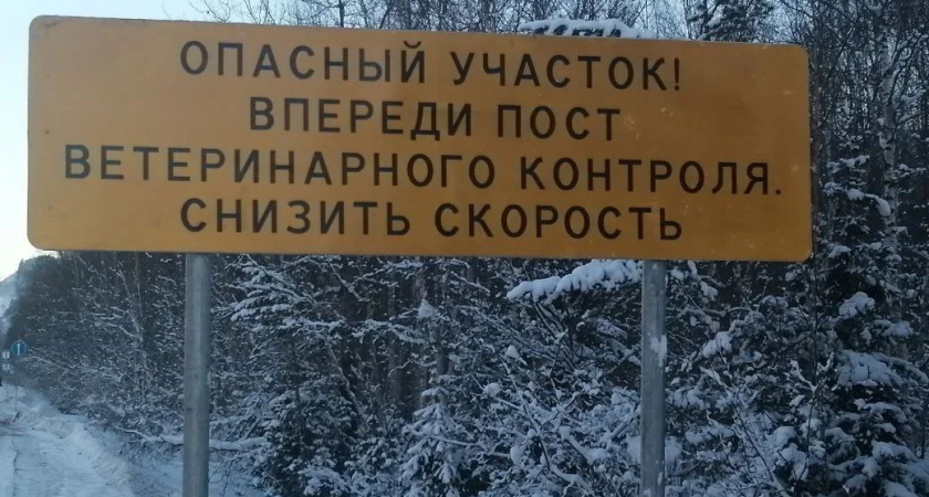 На границе Иркутской области задержали тонны незаконного мяса 