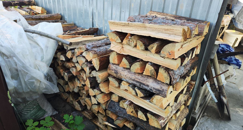 Не ждите полгода, пока дрова высохнут: эффективные способы ускорить процесс сушки в разы