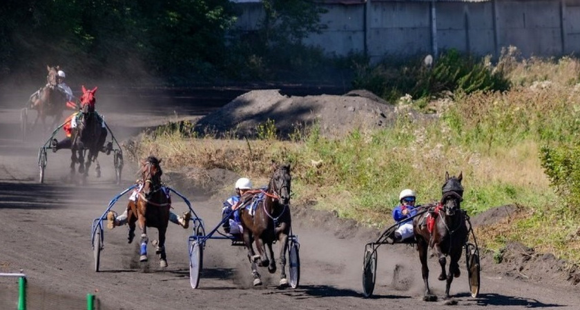 В Иркутской области ипподром «Байкал» получил статус племенной организации