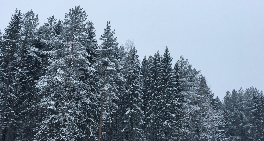 Первый день 2026 года в Иркутской области отметится морозами