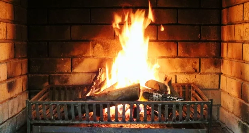 Печь прослужит десятилетия, если не топить её этими дровами: полезный совет для всех дачников