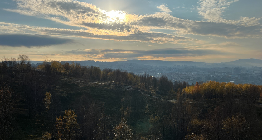 В Иркутской области изюбри стали чаще выходить к туристическим маршрутам