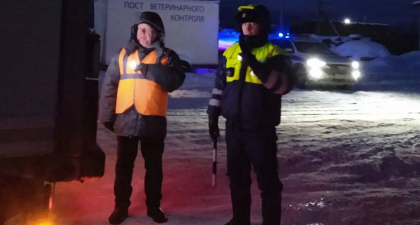 Ветеринары Иркутской области за новогодние праздники досмотрели 940 автомобилей