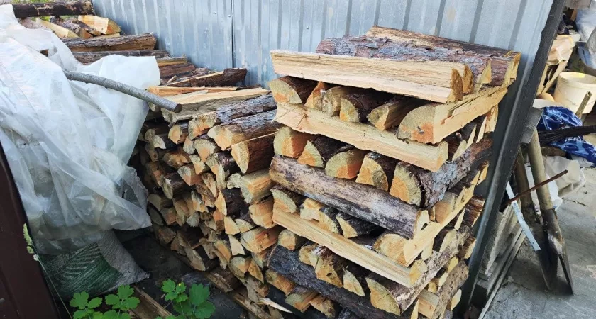 Расход дров минимальный, а дома жарче, чем в Сочи: экономичные породы дерева — совет печника