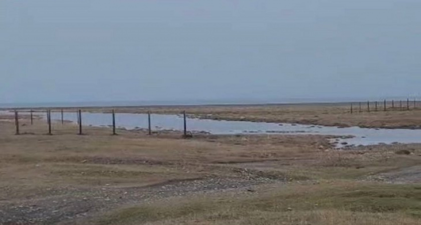 В Иркутской области пресекли незаконный захват земли на берегу Байкала