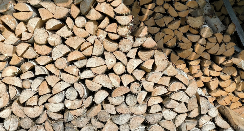 Женщина в Иркутской области вернет 45 миллионов рублей за нелегальный вывоз леса в Китай