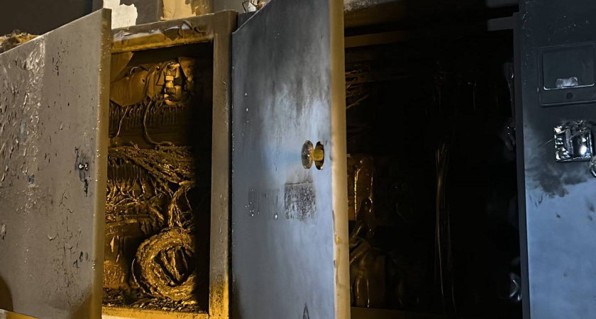 Крыса обесточила жилые районы Усолья-Сибирского