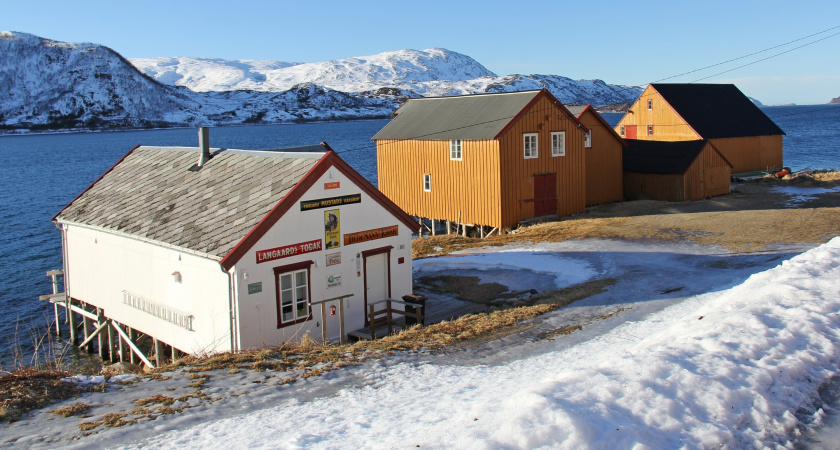 В Норвегии так делают уже 10 лет, а мы еще мучаемся: как сделать пол теплым без отопления - работает даже в лютые морозы