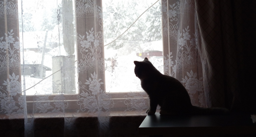 Морозы, снег и туманы ожидаются в Иркутской области 20 января