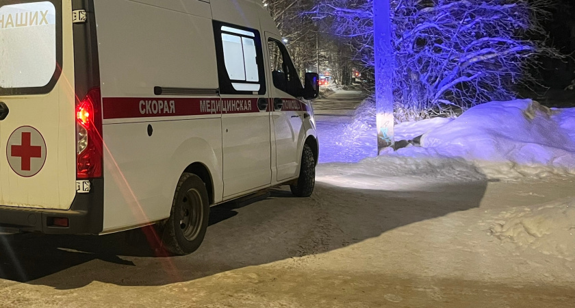 На заводе в Иркутской области работники отравились газом