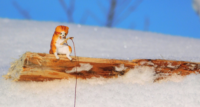 В Иркутской области 24 января сохранится морозная погода без осадков