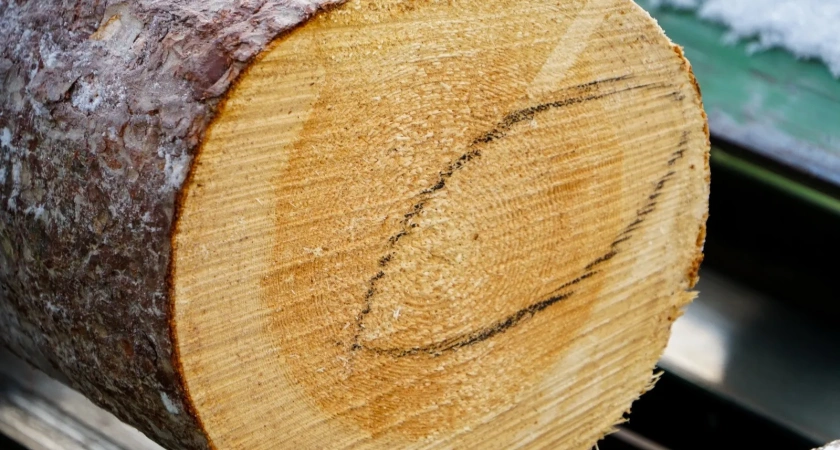 В Иркутской области жителям выделили 350 тысяч кубометров древесины для собственных нужд