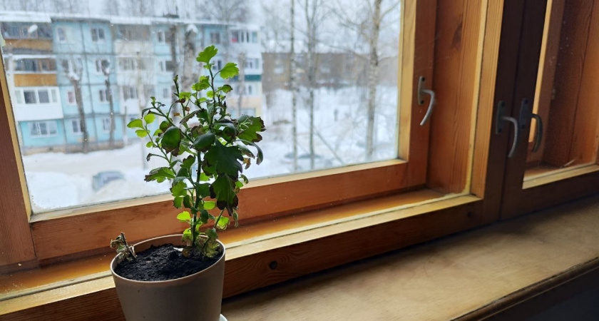 Намазал это на окна — и в доме сразу стало как в бане: тепло сохраняется даже в лютый мороз