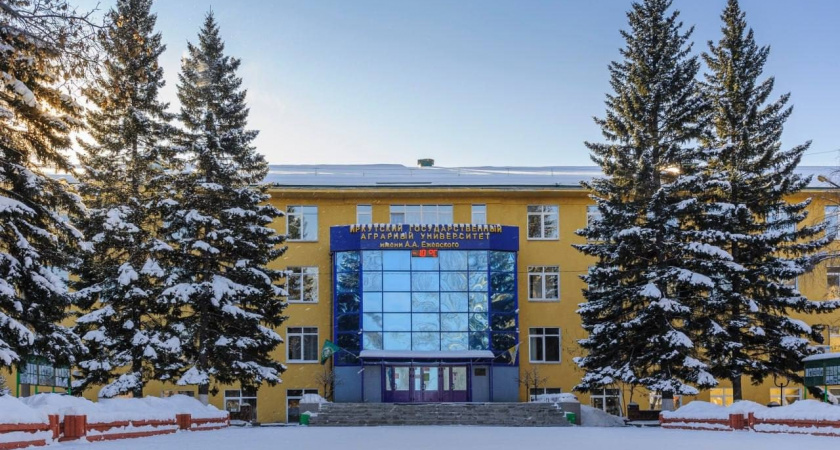 Два университета Иркутской области выиграли 18 миллионов рублей на развитие студенческого предпринимательства