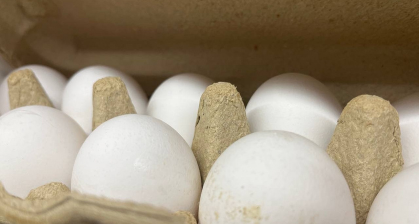 Нужно ли мыть яйца перед готовкой? В Роскачестве поставили точку в давнем споре