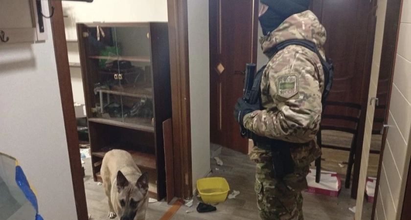 В Иркутске суд обязал женщину с собаками освободить квартиру бывшего мужа