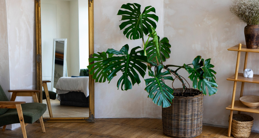 Зачем мудрые хозяйки вешают зеркало напротив входной двери: старая примета обрела научное объяснение