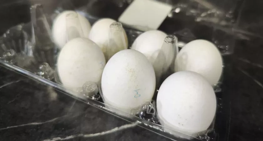 Никогда не начинайте варить яйца в холодной воде - и вот почему. Запомните раз и навсегда