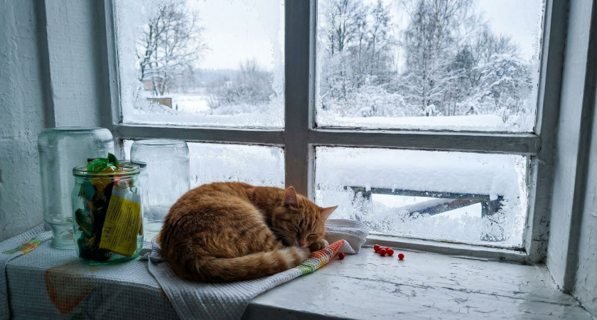 На окна ничего не клею и обогреватель - в прошлом: подглядела идею у родни из Мурманска - дома жарища даже в -40