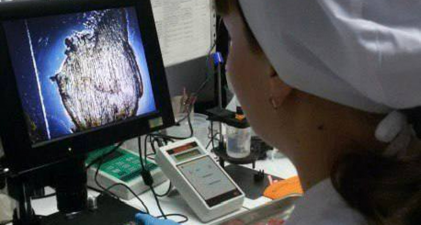 Ветеринары Иркутской области исследовали 266 тысяч партий сельхозпродукции за год