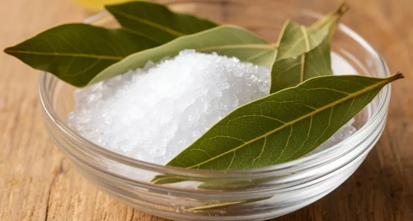 Зачем советские хозяйки кладут лавровый лист в сахар — научно подтверждённый лайфхак, который работает до сих пор