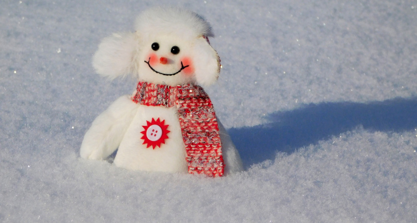 В Иркутской области 8 февраля будет холодная погода с ветром и снегом