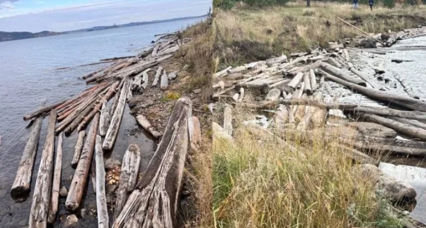 В Иркутской области после проверки Прокуратуры очистили Усть-Илимское водохранилище