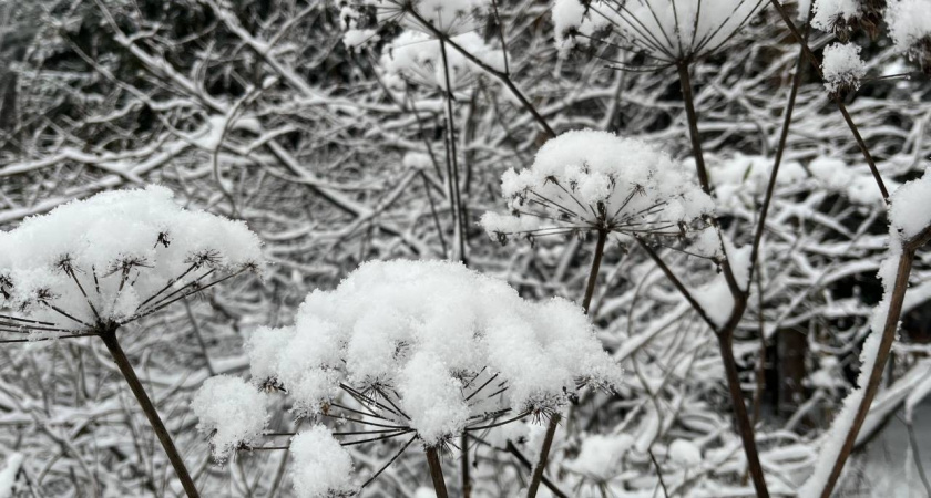 В Иркутской области усилится ветер и пройдут снегопады: погода в регионе 9 февраля