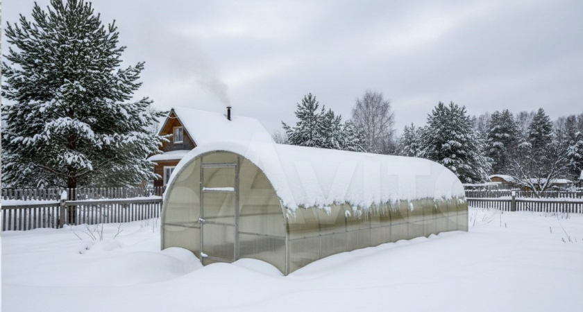 Сею с 1 февраля, пока земля еще дремлет: 3 культуры, которые не "ждут" до весны