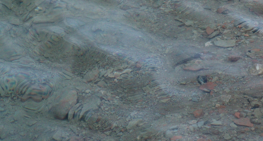 Ученые Иркутской области выявили основные зоны концентрации микропластика на Байкале