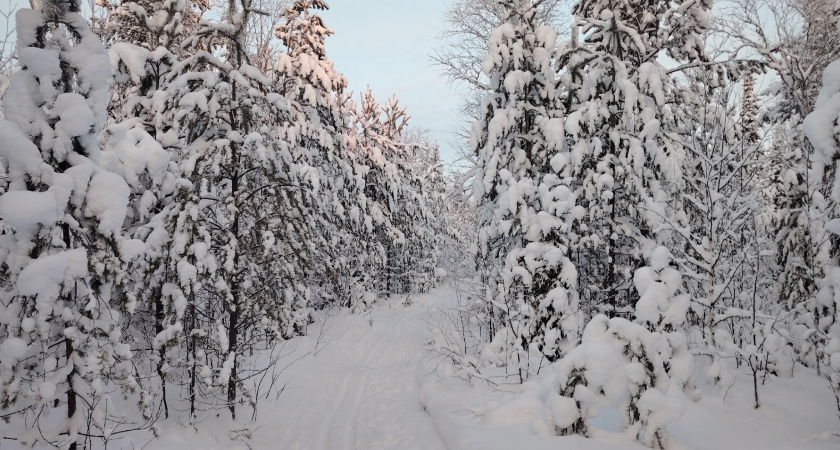 В Иркутской области 11 февраля ожидается снежная погода с перепадами температуры