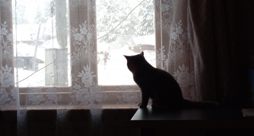 Метель и температурные качели: прогноз погоды в Иркутской области на 12 февраля