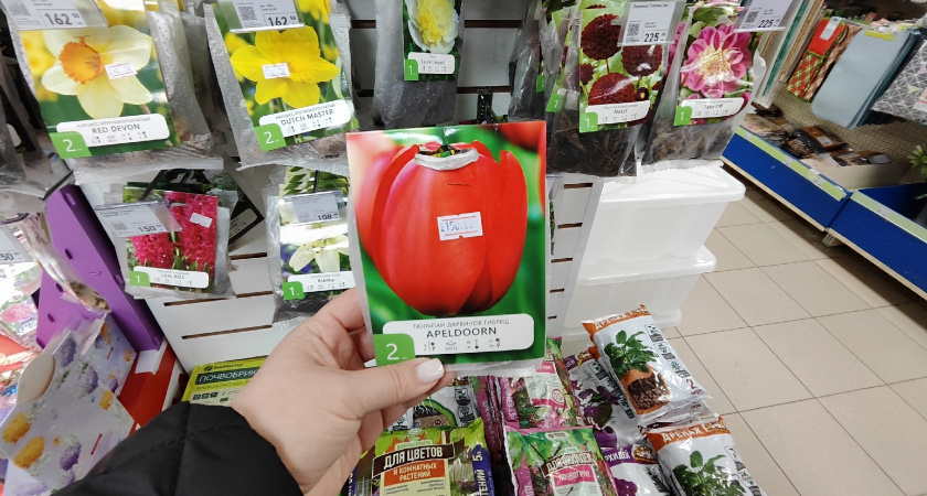 От грунта до гиацинтов: мои лучшие находки для сада в "Фикс Прайс" — дачникам на заметку