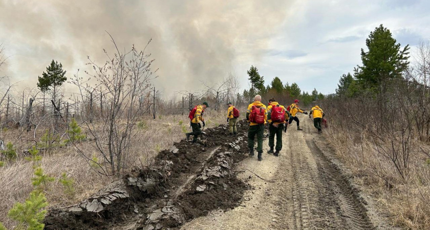 В Иркутской области 1910 специалистов заступят на охрану лесов от огня
