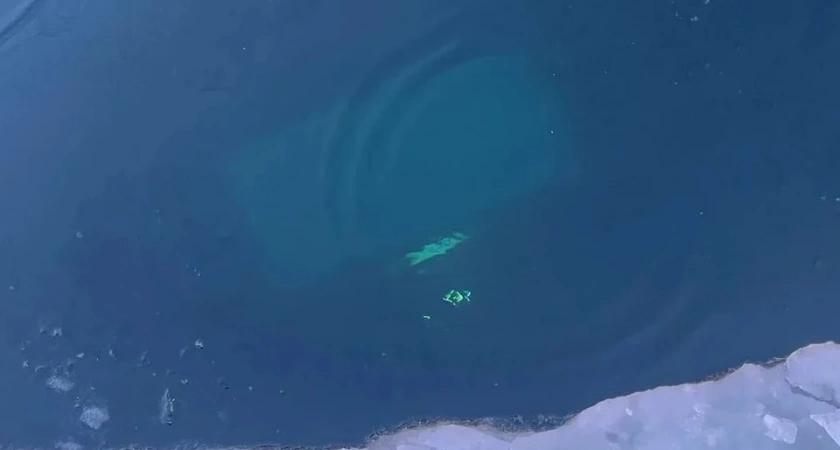 В Иркутской области “УАЗ” с туристами ушел под лед Байкала